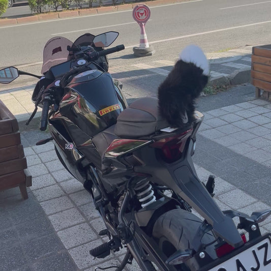 Hareketli Tilki Kuyruğu
